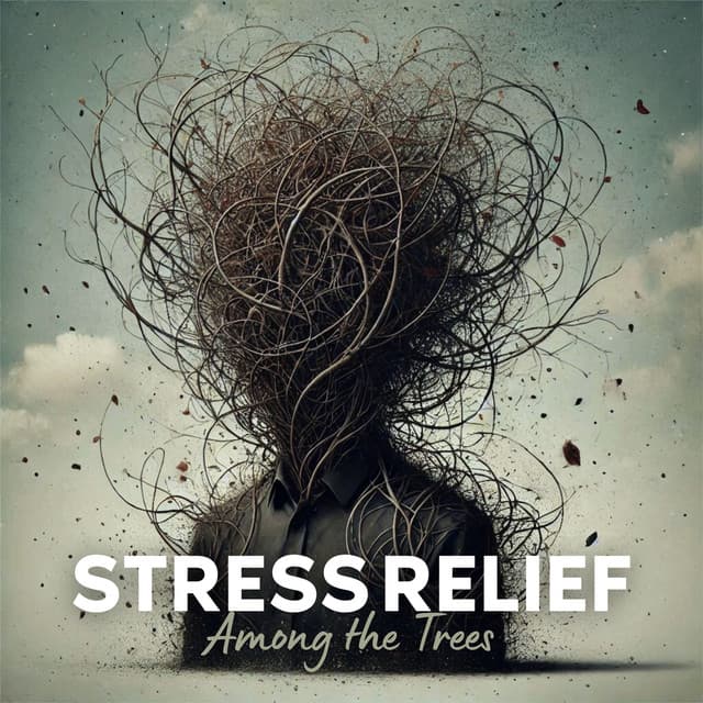 Stress Relief Among the Trees - Worldwide Nature Studios