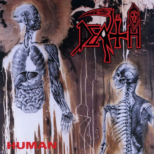 Human - Death