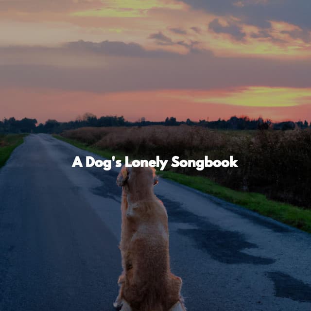 A Dog's Lonely Songbook - Coffee jazz Relax