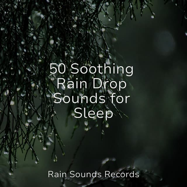 50 Soothing Rain Drop Sounds for Sleep - Calming Waves
