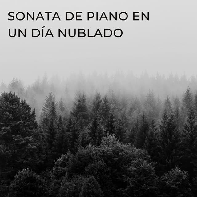 Sonata De Piano En Un Día Nublado - Fábrica de Sonidos de Lluvia STHLM