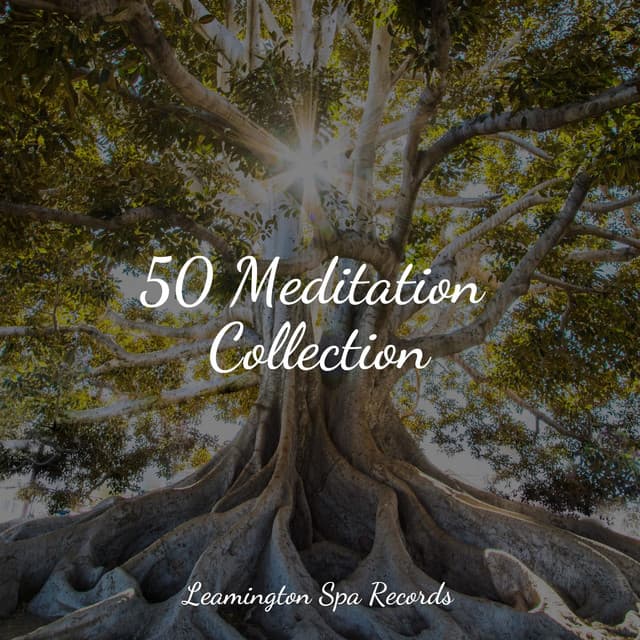 50 Meditation Collection - Relaxing Nature Ambience