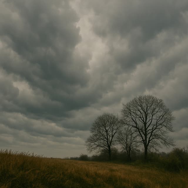 10 AM Air: Hollow Winds - Nature Sound Collection