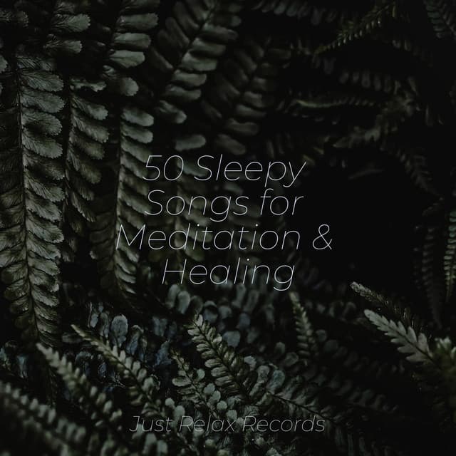 50 Sleepy Songs for Meditation & Healing - Relaxing Music