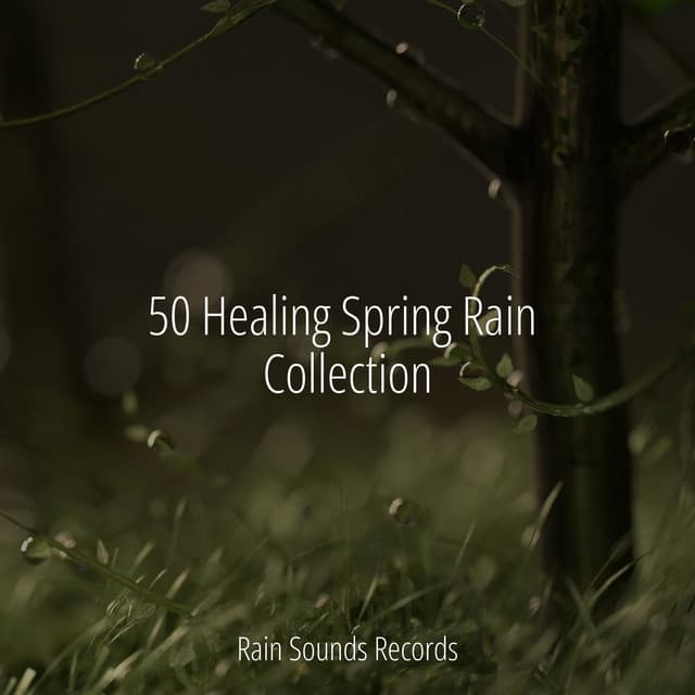 50 Healing Spring Rain Collection - Sonidos De Truenos y Lluvia