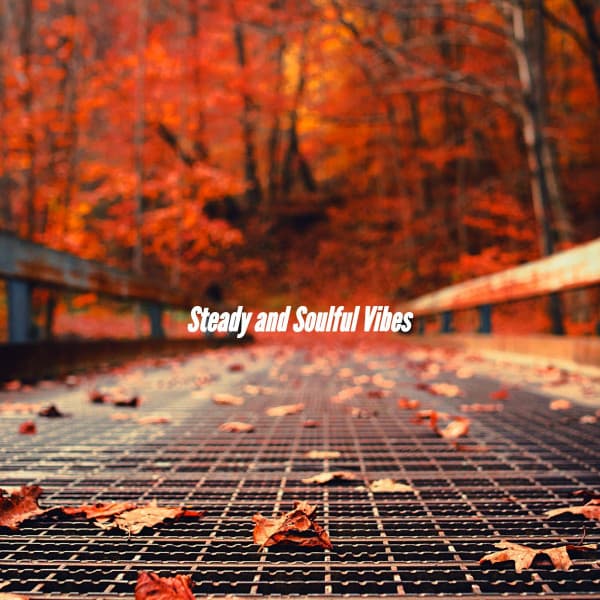 Steady and Soulful Vibes - Atmospheric Coffee House Music