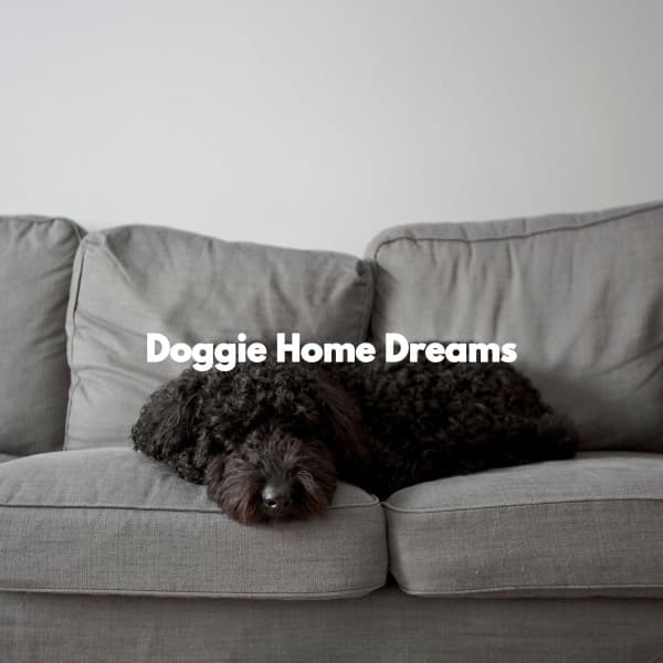 Doggie Home Dreams - Cafe & Chill