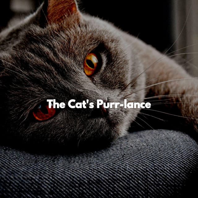 The Cat's Purr-lance - Cat Total Relax