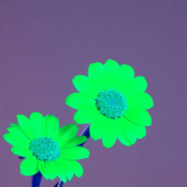 Bgm for Pure Moments - Luxury Restaurant Music