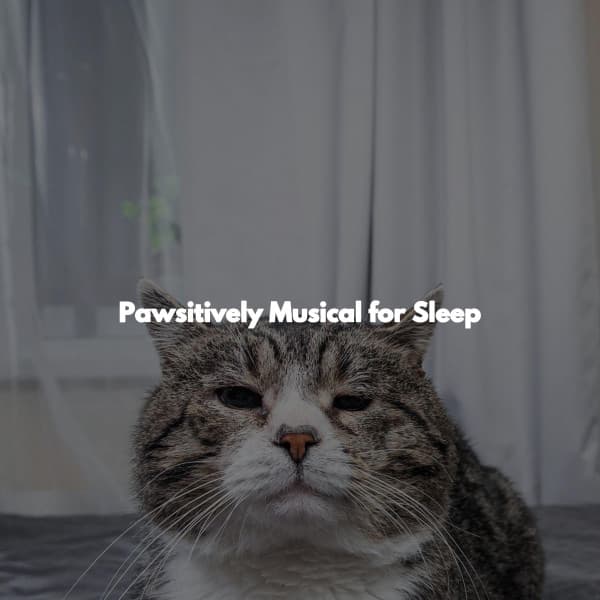 Pawsitively Musical for Sleep - Relaxing Jazz Madrid