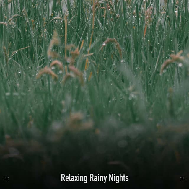 !!!!" Relaxing Rainy Nights "!!!! - Sonidos De Truenos y Lluvia