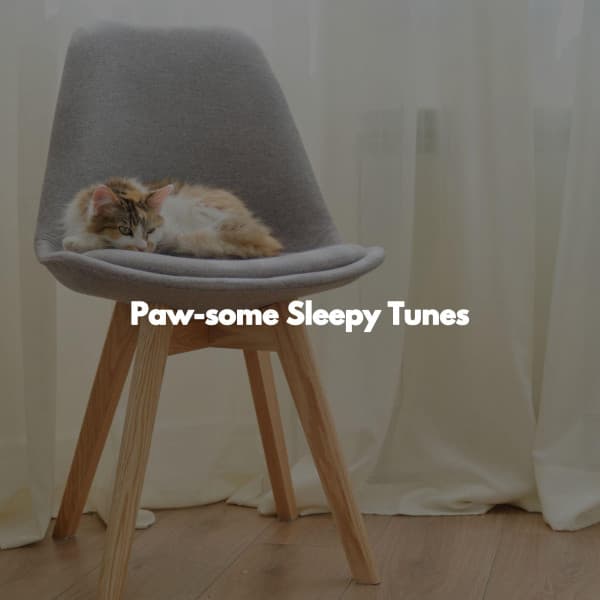 Paw-some Sleepy Tunes - Calming Instrumental Jazz Ambiance