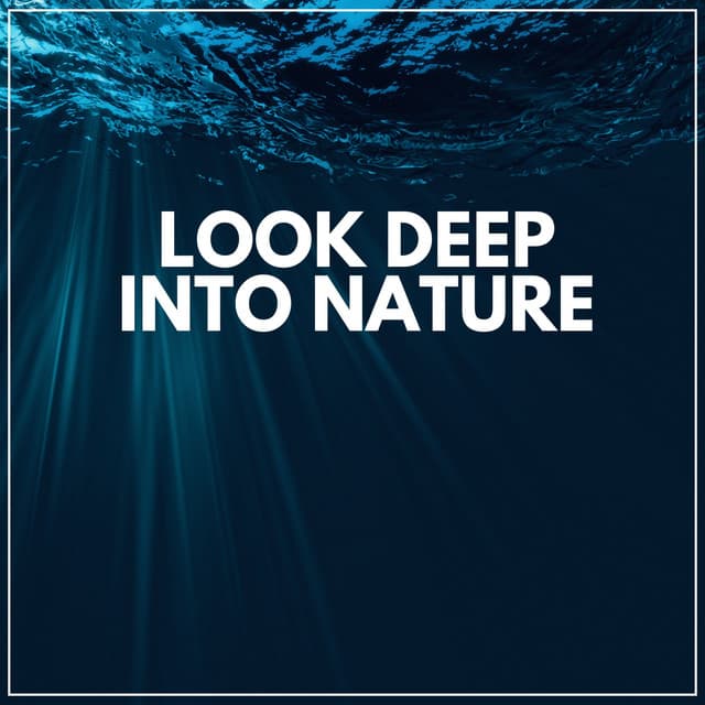 Look Deep into Nature - Nature Sounds Nature Music