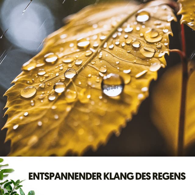 Lern- & Arbeitsmusik: Eine Symphonie der Gelassenheit - Ruido Blanco Hart