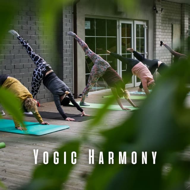 Yogic Harmony: Meditation Music for Yoga Practice - Matter and Energy