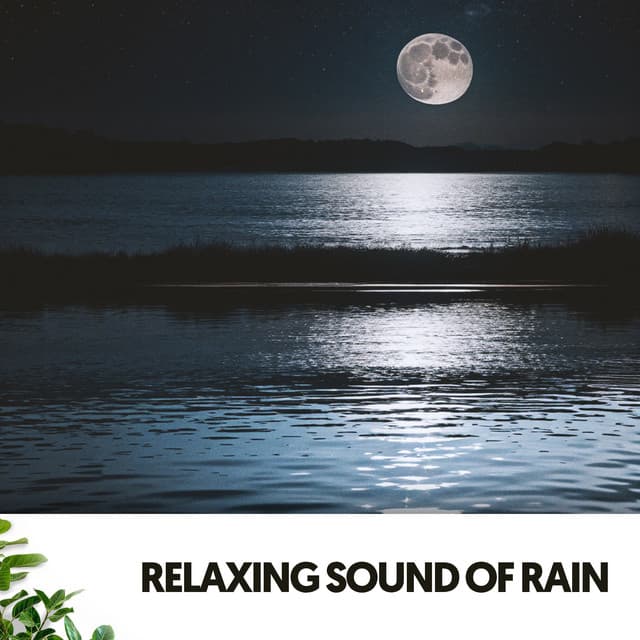 Relaxing Sound of Rain: Melodies from the Raindrops - Música Relajante Para Leer