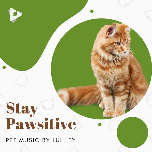 Stay Pawsitive - Pet Music by Lullify