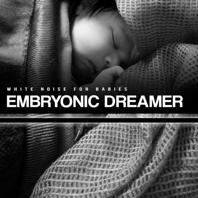 Embryonic Dreamer - White Noise for Babies