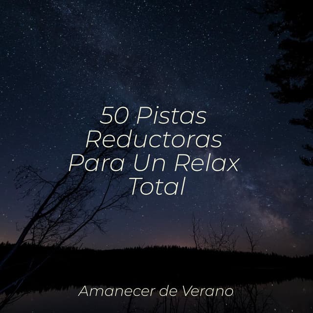 50 Pistas Reductoras Para Un Relax Total - Musica de Piano Escuela