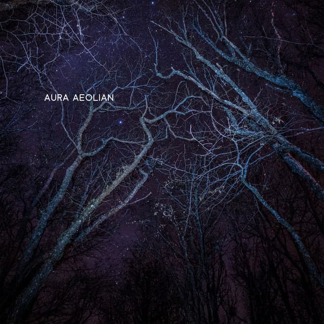 Veins of Velvet Midnight - Aura Aeolian