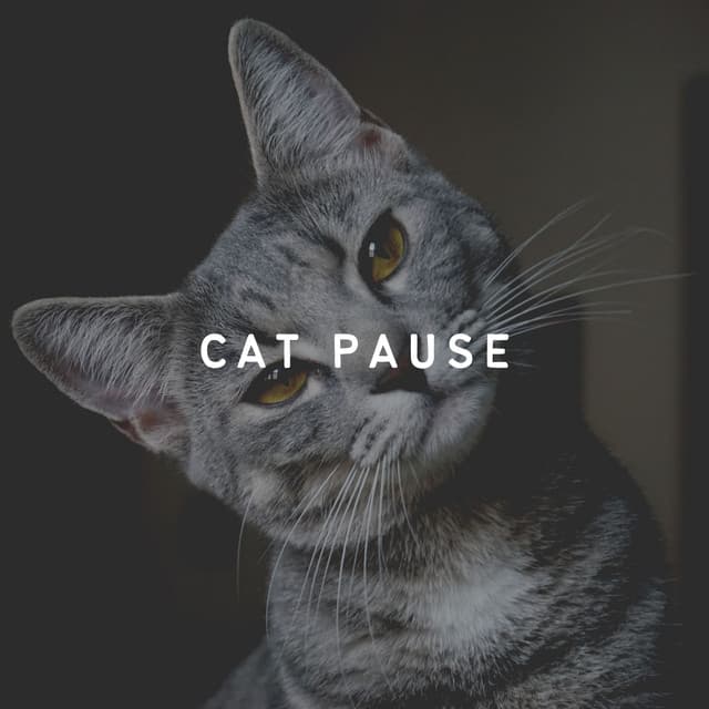 Cat Pause - Music for Cats Peace