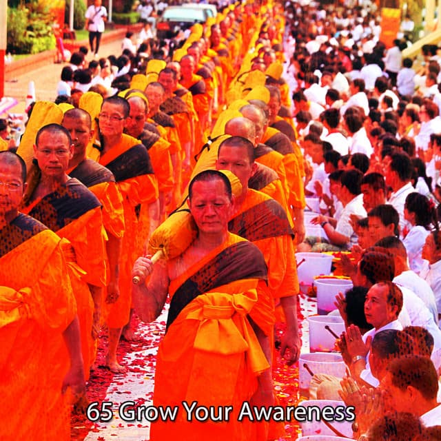 65 Grow Your Awareness - White Noise Meditation