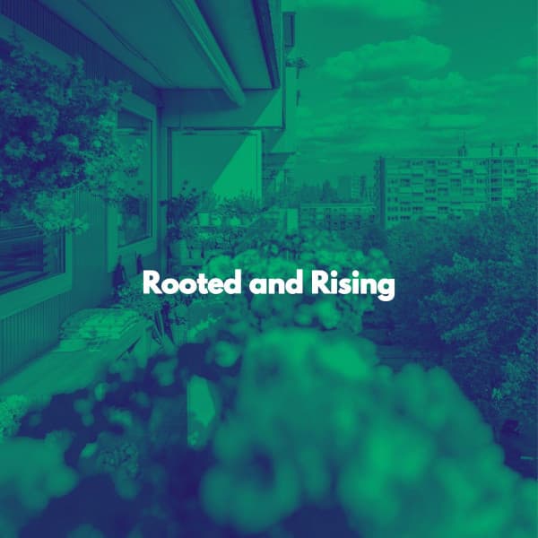 Rooted and Rising - Work Music Playlist