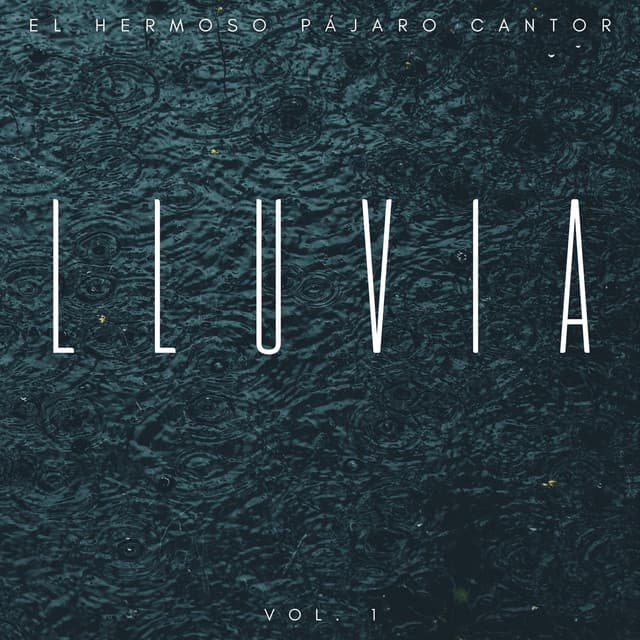 Lluvia: El Hermoso Pájaro Cantor Vol. 1 - Lloviendo Relajante