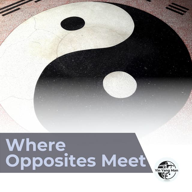 Where Opposites Meet - Yin Yang Man