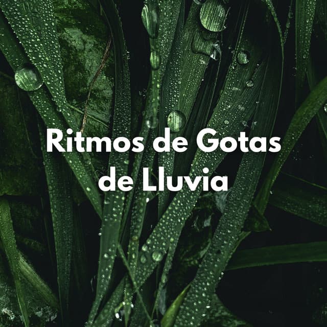 Ritmos De Gotas De Lluvia - Efectos especiales de lluvia del bosque