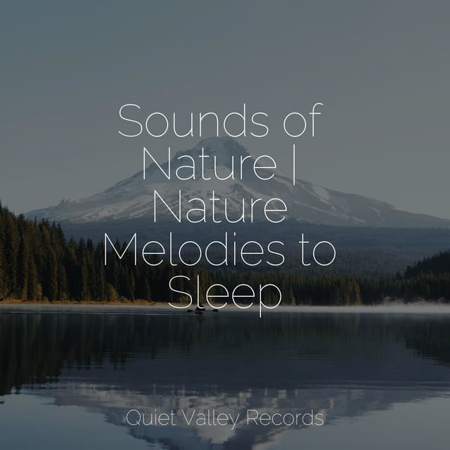Sounds of Nature | Nature Melodies to Sleep - Winds and Oceans