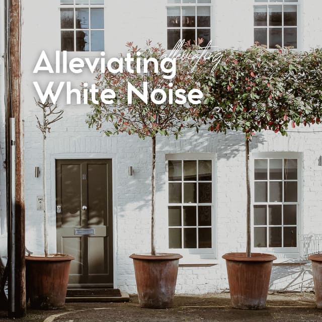 Alleviating White Noise - Loopable White Noise