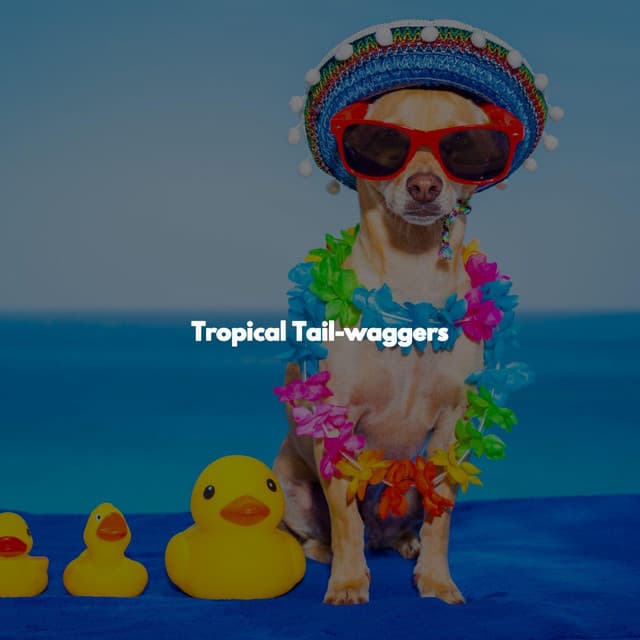 Tropical Tail-waggers - Relaxing Jazz