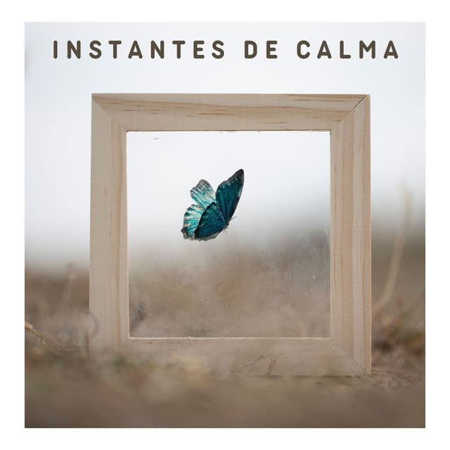 Instantes de Calma: Canciones Armoniosas para Disfrutar de un Descanso Tranquilizador - Alma Divina