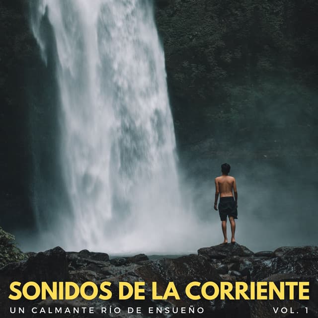 Sonidos De La Corriente: Un Calmante Río De Ensueño Vol. 1 - Cascada ruido blanco
