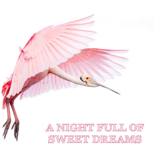 A Night Full of Sweet Dreams - Baby Sleep Music