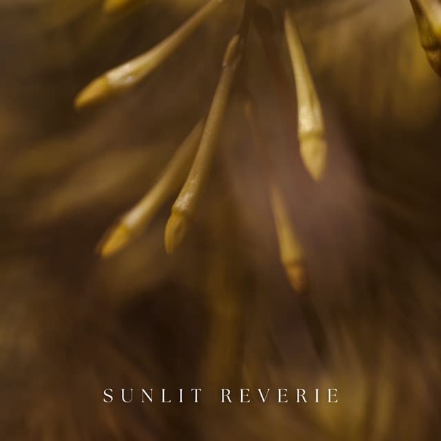 Sunlit Reverie: A Dream of Golden Fields - Relaxing Zen Music Therapy