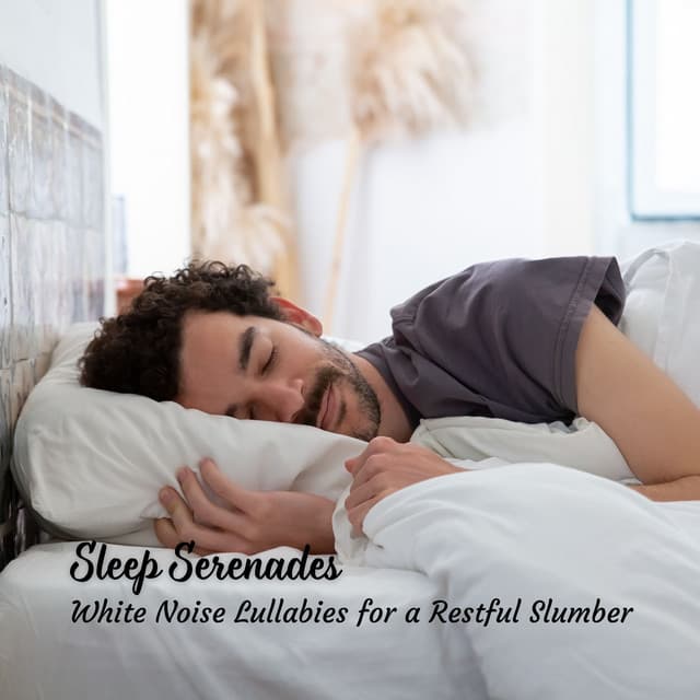 Sleep Serenades: White Noise Lullabies for a Restful Slumber - Deep Sleep White Noise