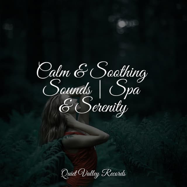 Calm & Soothing Sounds | Spa & Serenity - Deep Focus