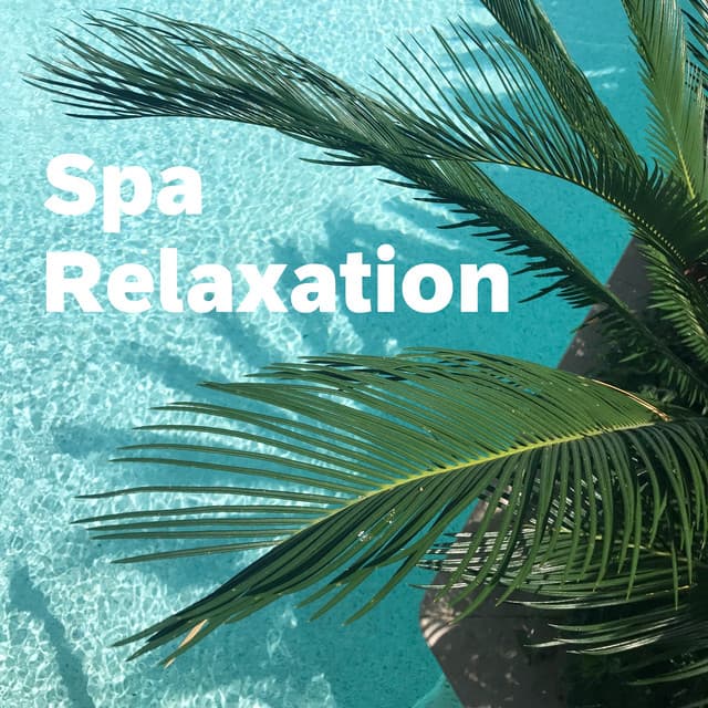 Spa Relaxation - Relax Records