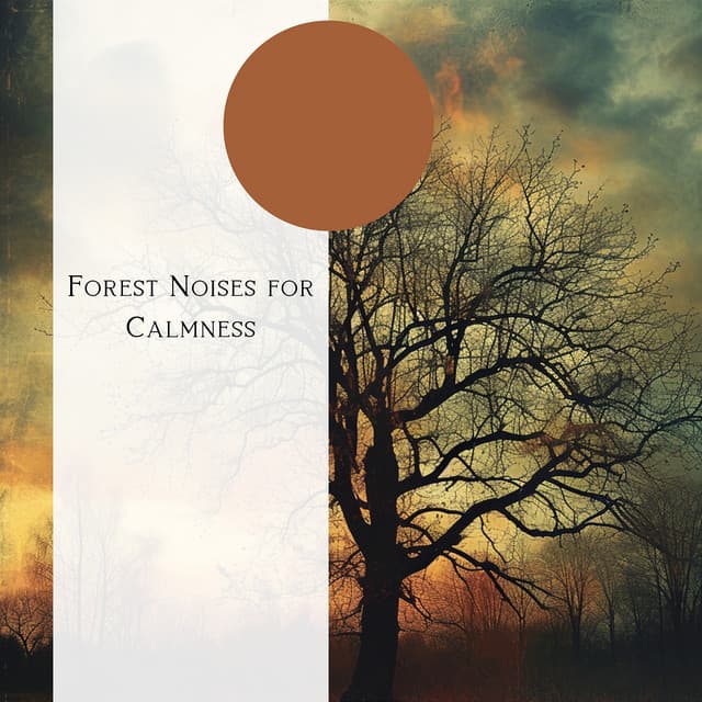 Forest Noises for Calmness - Natural Forest FX