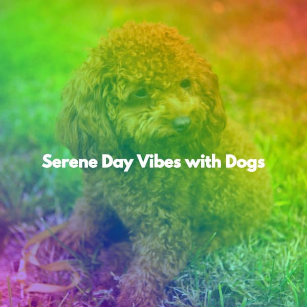 Serene Day Vibes with Dogs - Happy Instrumental Music