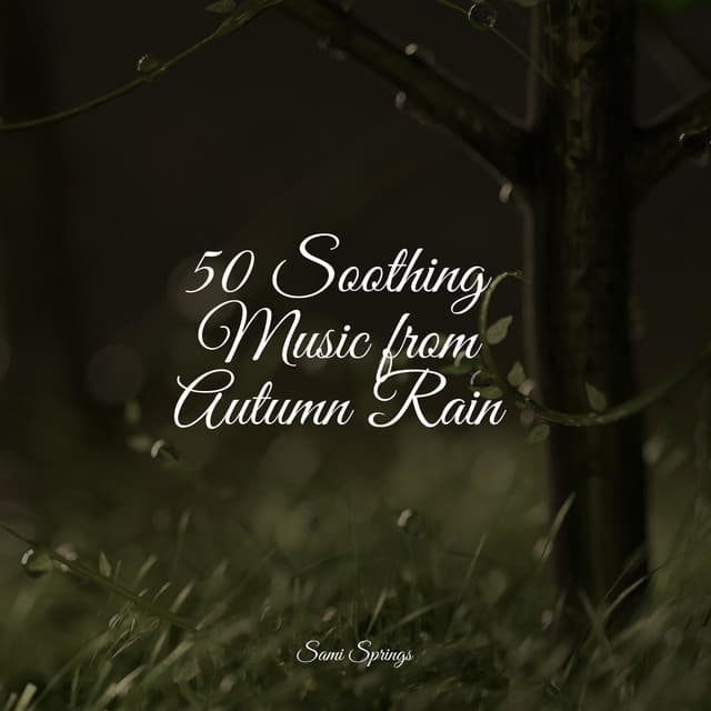 50 Soothing Music from Autumn Rain - Ambient Nature White Noise