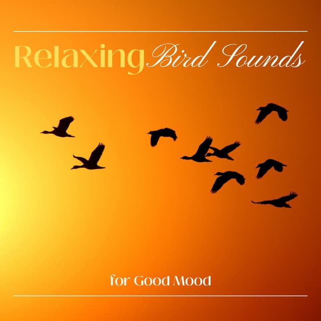 Relaxing Bird Sounds for Good Mood - Bird Sounds