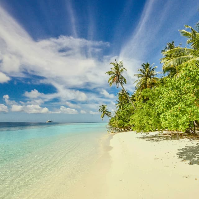 50 Ambient Echoes: Infinite Energy - Seascapers