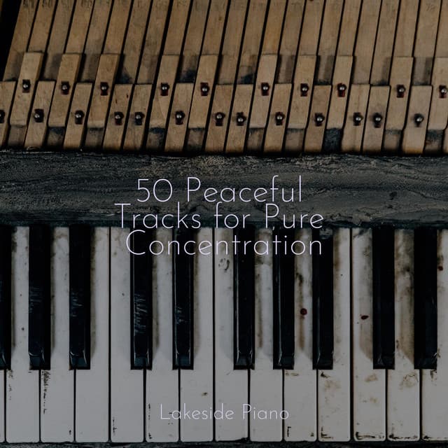 50 Peaceful Tracks for Pure Concentration - SD
