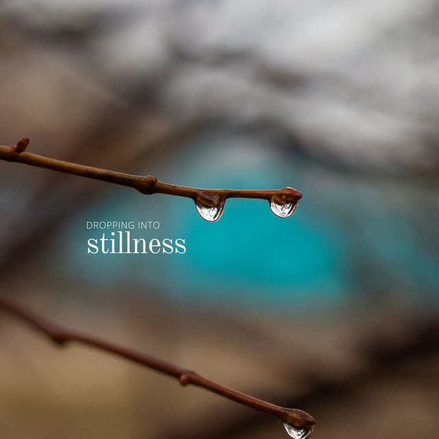 Dropping into Stillness - Robin Gardner