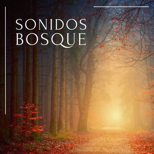 Sonidos Bosque - Sonidos De Pajaros