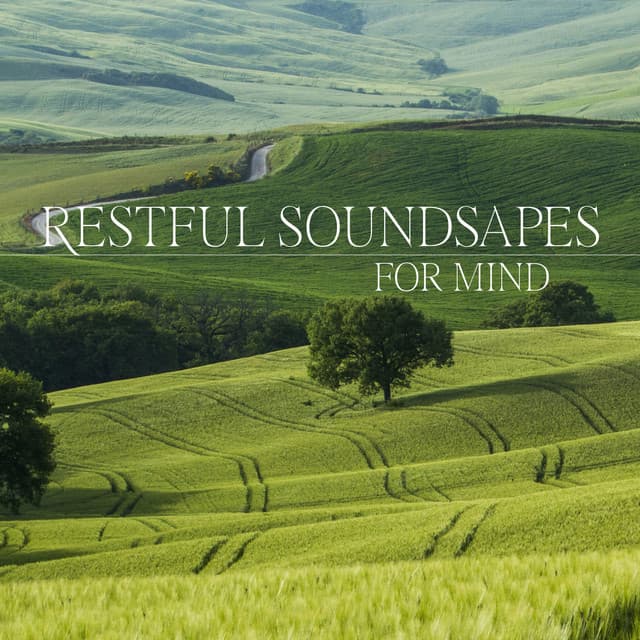 Restful Soundsapes for Mind: Rebalance Yourself, Therapy for Relaxation, Remove Bad Emotions - Body Harmony Music Consort