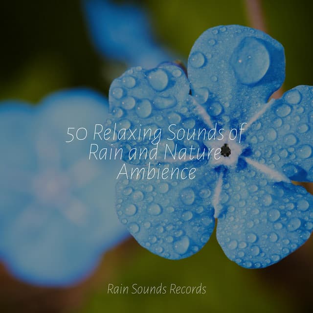 50 Relaxing Sounds of Rain and Nature Ambience - PowerThoughts Meditation Club